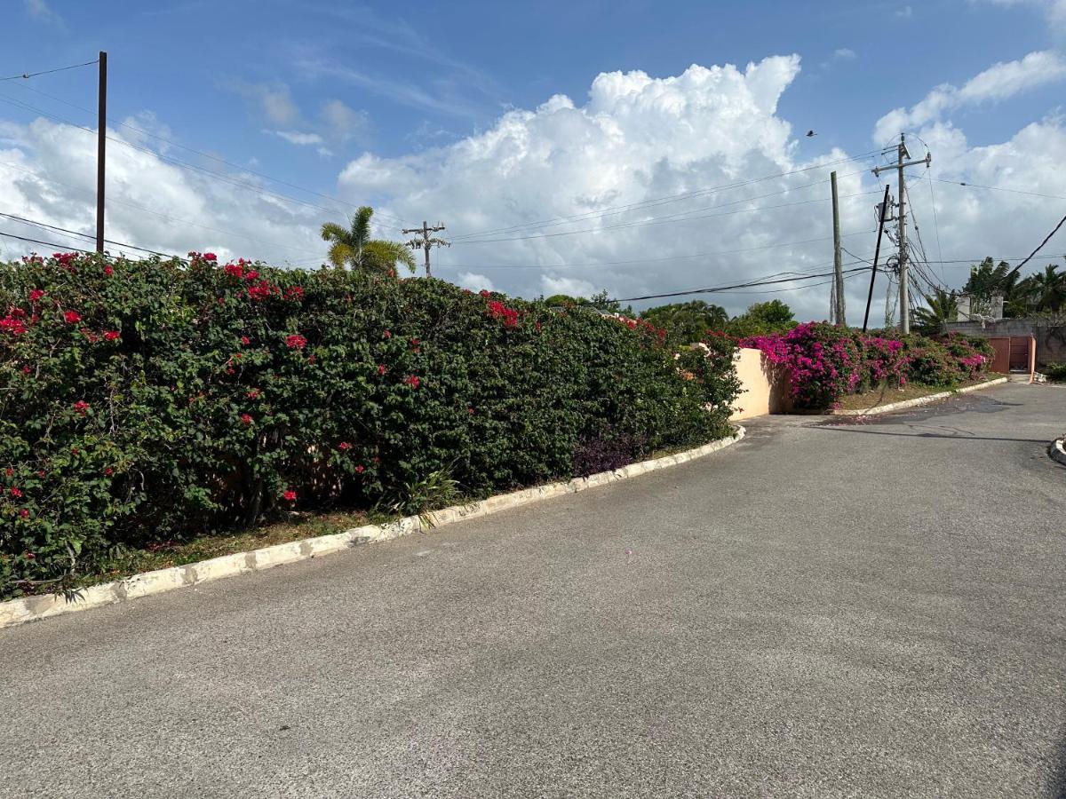 Remarkable 1-Bed Apartment In Montego Bay Eksteriør bilde